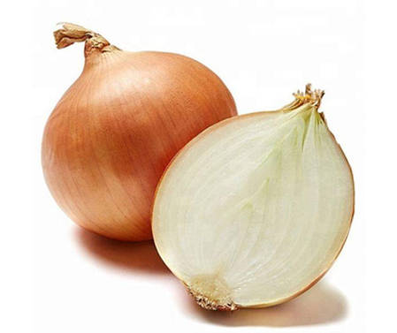 Цибуля сіянка (саджанка) Штур БС 20 Голландія 1кг, фото 2