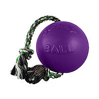 Игрушка для собак Jolly Pets Мяч с канатом Romp-n-roll 22 см Фиолетовый (608PRP)