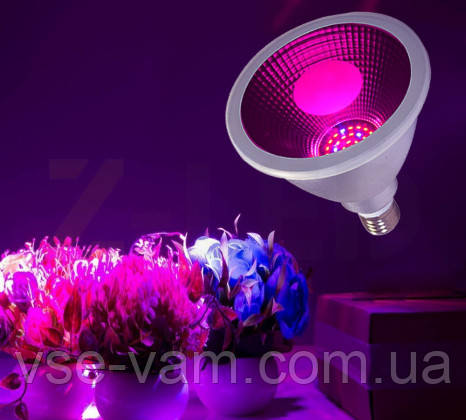 Світлодіодна фітолампа X-LED 12Вт FL-12s