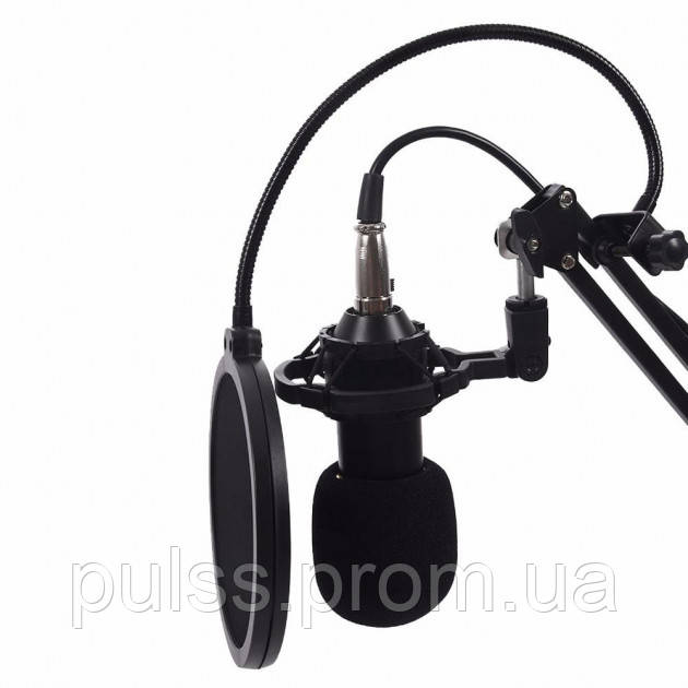Студийный микрофон со стойкой и ветрозащитой и Звуковая внешняя карта V8 для записи вокала Music D.J. M 800 - фото 6 - id-p1361650715