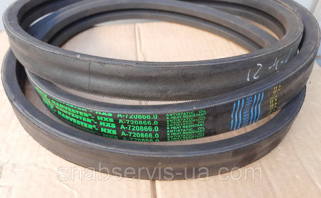 Пас подрібнювача Полісся, PIX, фото 1