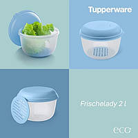 Контейнер Свежесть-павильон 2 л с решеточкой Tupperware