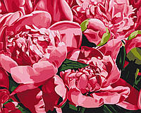 Картина Рисование по номерам Цветы Холст на подрамнике Аромат весны © Anastasiia Osmolovska 40x50 Brushme