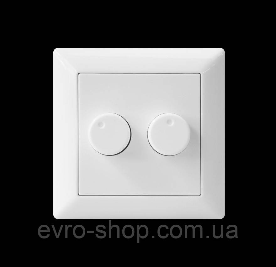 Двоканальний регулятор яскравості світла 2x100 Вт (Димер) X-led