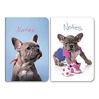 Блокнот А6 96 арк инт обл клітинка лам Песик 406 Асорті