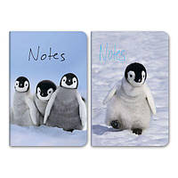 Блокнот А6 96 арк инт обл клітинка лам Пінгвіни 407 Асорті