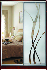 Шафа-купе "СТАНДАРТ 1" з фасадом 6/8R зеркало +м/лиана