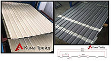 Профнастил С-10 "КамаТрейд" 0,45 мм Китай РЕМА Ral, фото 6