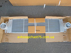Радіатор інтеркулера Volkswagen Transporter T5 з 2003 року (виробництво Tempest, Тайвань)