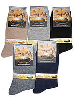 Шкарпетки Корона чоловічі верблюжа шерсть 41-47
