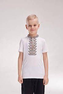 Футболка з вишивкою для хлопчика "Дем'ян", літня дитяча футболка вишиванка