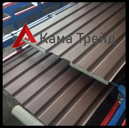 Профнастил ПС-20 "КамаТрейд" 0,45 мм Україна РЕМА Ral, фото 1