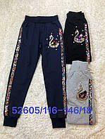 Спортивні штани для дівчат, Seagull, 116,122 см, № CSQ-52605