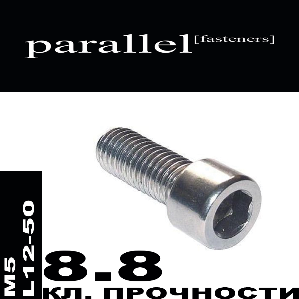 Гвинт із внутрішнім шестигранником М5 * L12 — 50 цинк білий