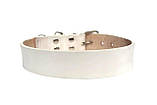 Шкіряний нашийник для собак білий, фото 2