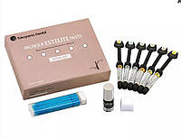 PALFIQUE Estelite PASTE Syringe Intro Kit ІІ (Палфік Інтро набір) TOKUYAMA DENTAL