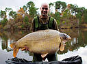 Поп-ап Dynamite Baits COMPLEX-T Fluro Pop-Ups&Dumbells 15 mm, фото 3