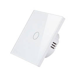 Контролер захисту від протікання води Mastino TS2 white