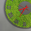 Годинник настінний з стабілізованим мохом. Діаметр 40 см, фото 5