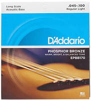 Струни для акустичних бас-гітар D'Addario EPBB170 ACOUSTIC BASS PHOSPHOR BRONZE 4 STRING