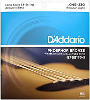 Струни для акустичних бас-гітар D'Addario EPBB170-5 ACOUSTIC BASS PHOSPHOR BRONZE LIGHT 5-STRING (45-130)