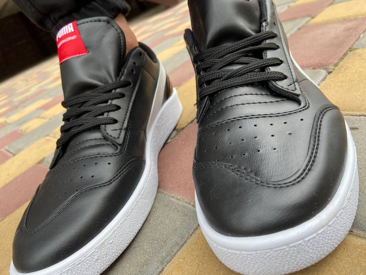 Puma for sale cheap