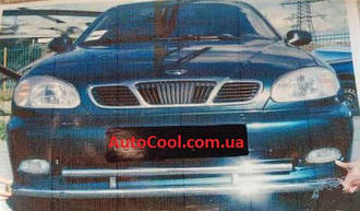 Захист переднього бампера (дуга, вусь) Daewoo Lanos, Sens Део ланос сенс