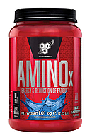 BSN AminoX Energy & Reduction of Fatigue 1010g (IRL)