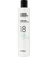 Шампунь для ежедневного использования Artego Good Society Every You 18 Shampoo 250 мл (22423Gu)