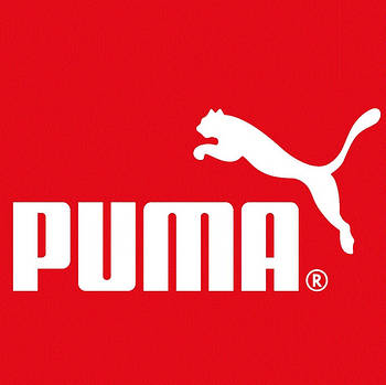 Puma - чоловічі демісезонні