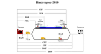 Способи доставки вантажів Інкотермс 2010