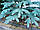 Лита новорічна ялинка Преміум 1.50 м. блакитна, фото 4