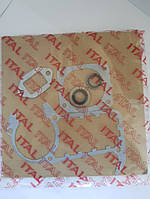 Комплект прокладок с сальниками ITAL для ST MS 361,MS 341