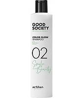 Шампунь для фарбованого волосся Artego Good Society Color Glow 02 Shampoo 250 мл (22419Ab)