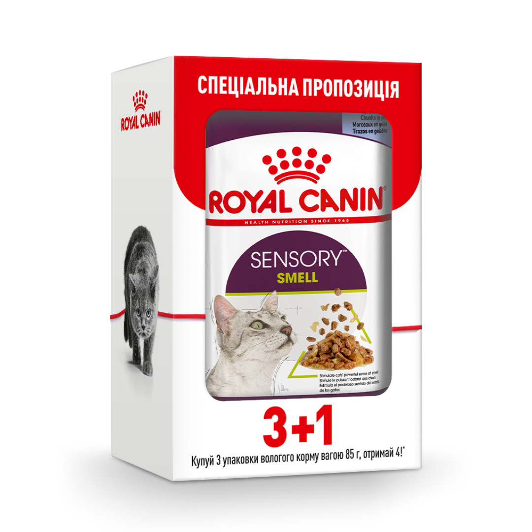 Вологий корм для дорослих котів ROYAL CANIN SENSORY SMELL JELLY 3+1
