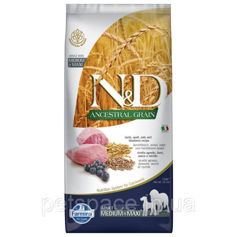 Сухий корм для собак великих порід Farmina N&D Adult Medium & Maxi (з ягням та чорницею) 2.5кг