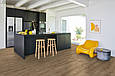 Ламінат Parador 1748176 Basic 400 Дуб карамель (Oak caramel) 1х, фото 9