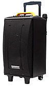Колонка акумуляторна Temeisheng QX-1214 комбопідсилювач 300 Ватів акустика USB/FM/Bluetooth 2 радіомікрофона