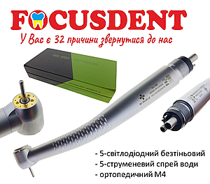 ■Ovaltone GD-013 Version 2.0 Formex Essence FortyOne Automatic Chronometer Space Ghost