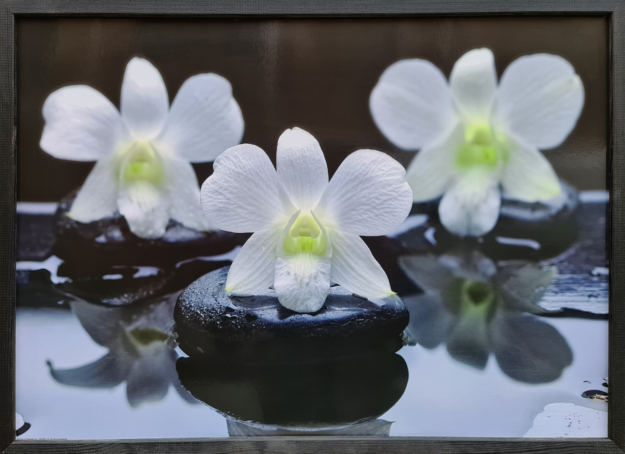 Фотокартина в дерев'яній рамі Spa 2 50х70 см POS-5070-276
