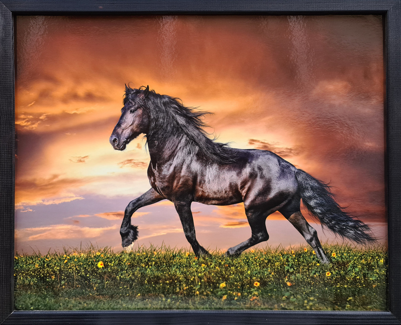 Фотокартина у дерев'яній рамі Horse 1 40х50 см POS-4050-214