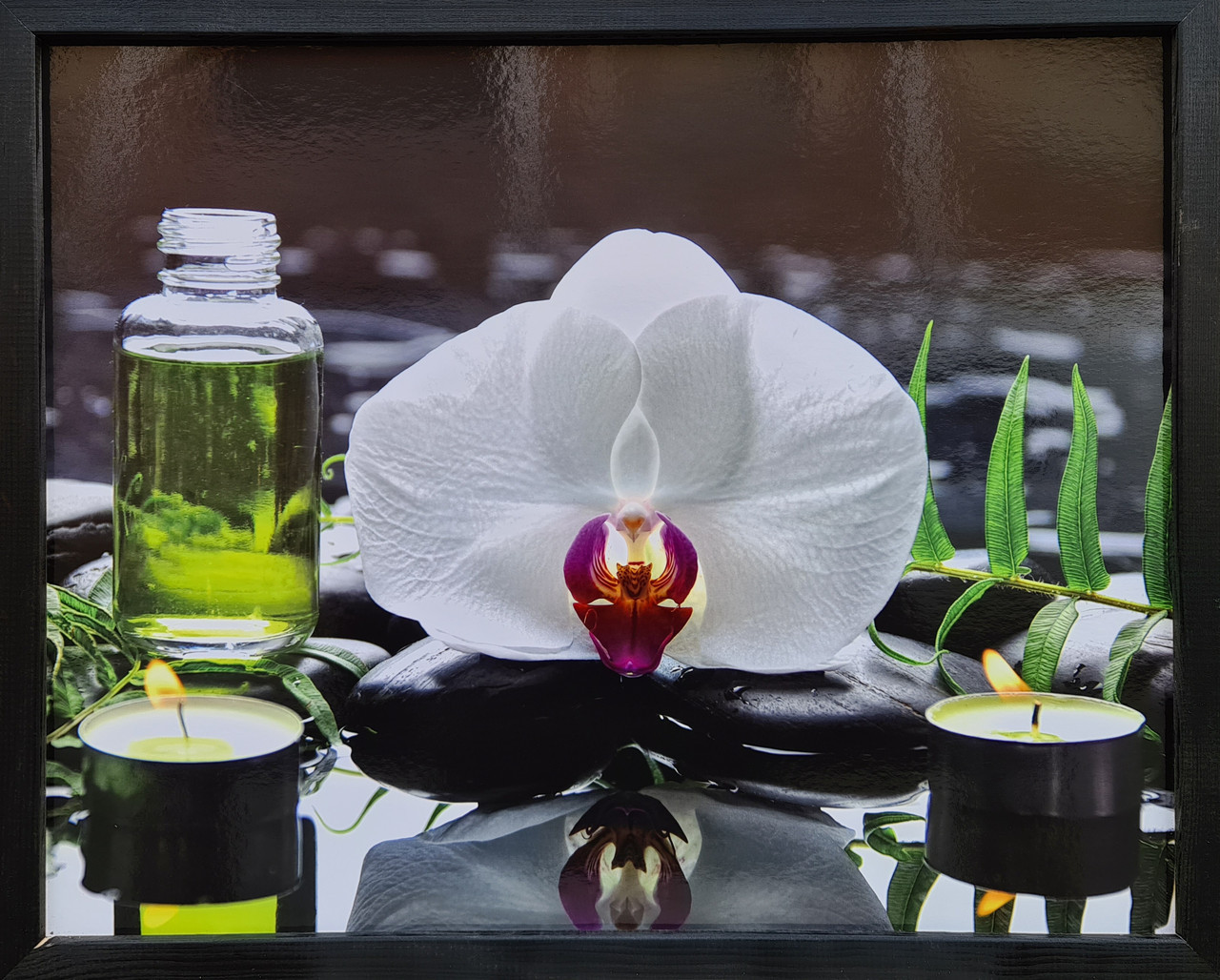 Фотокартина в дерев'яній рамі Flower 7 40х50 см POS-4050-202