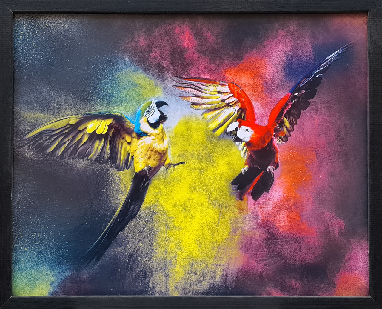 Фотокартина в дерев'яній рамі Parrots 1 40х50 см POS-4050-186