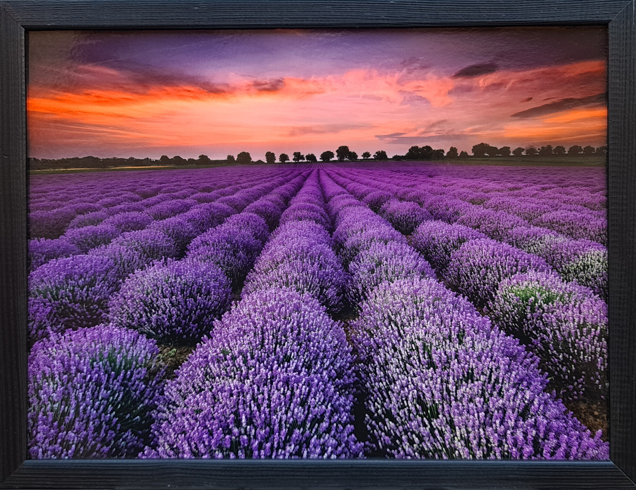 Фотокартина в дерев'яній рамі Lavender 3 30х40 см POS-3040-154