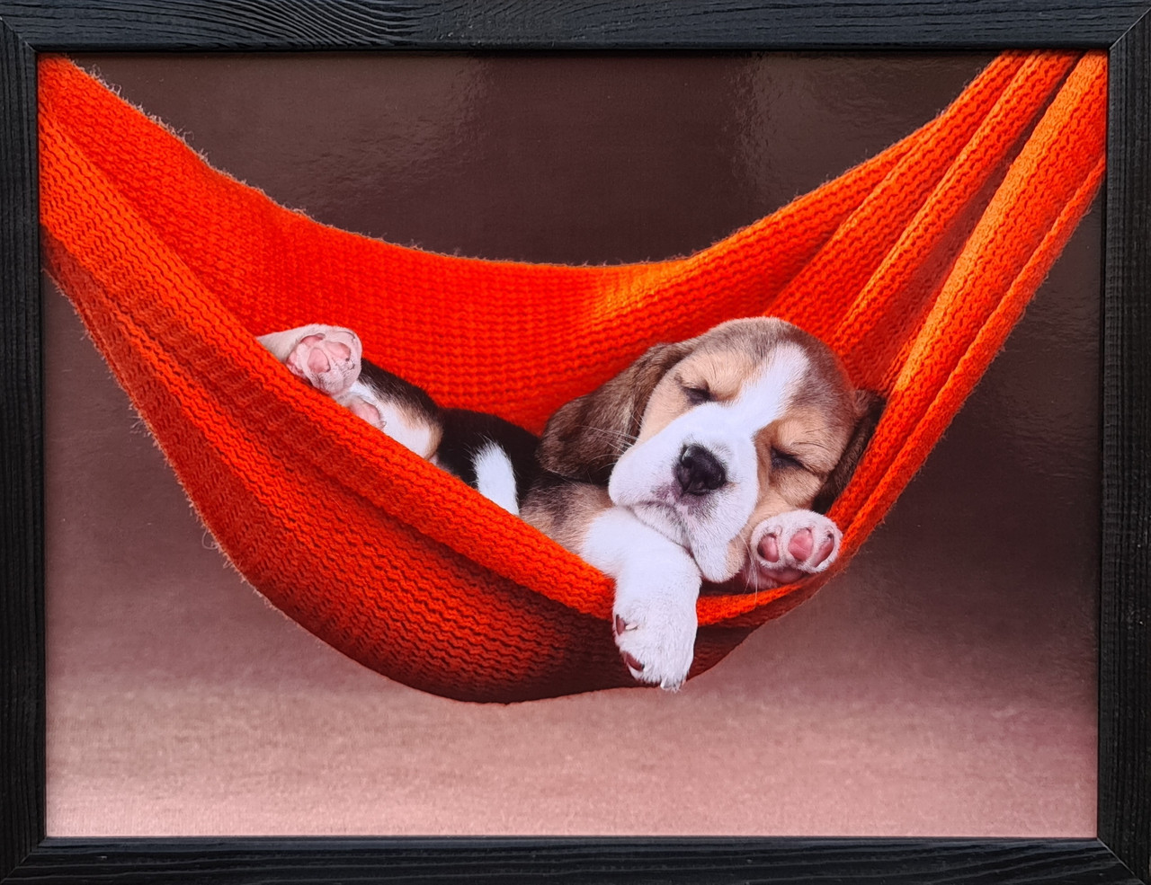 Фотокартина у дерев'яній рамі Dog 4 30х40 см POS-3040-156