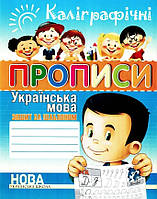 Книга "Каллиграфические прописи. Украинский язык. Тетрадь-шаблон" - Шинкаренко А.И. (На украинском языке)