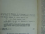 Шишкін І.Б. та ін. Великі хижаки (б/у)., фото 5
