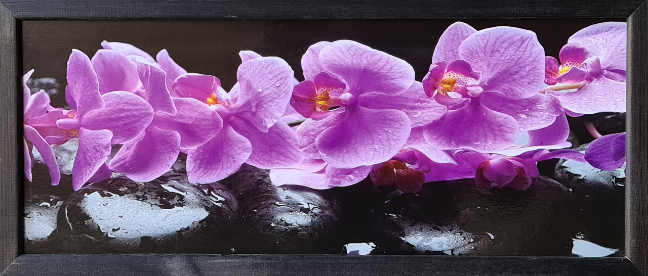 Фотокартина у дерев'яній рамі Flower 8 20х50 см POS-2050-125