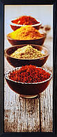 Фотокартина в деревянной раме Spices 5 20х50 см POS-2050-111