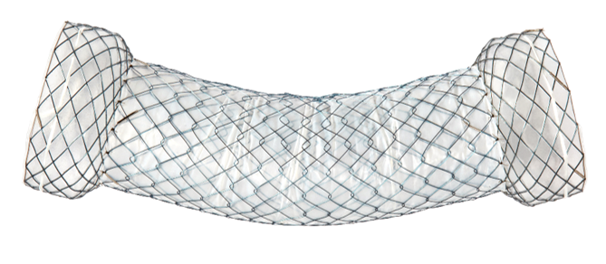 Стравохідний стент Niti-S Dual-type, TaeWoong